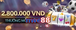nwe88