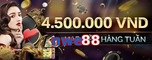 nwe88