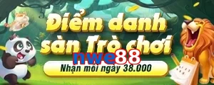 nwe88